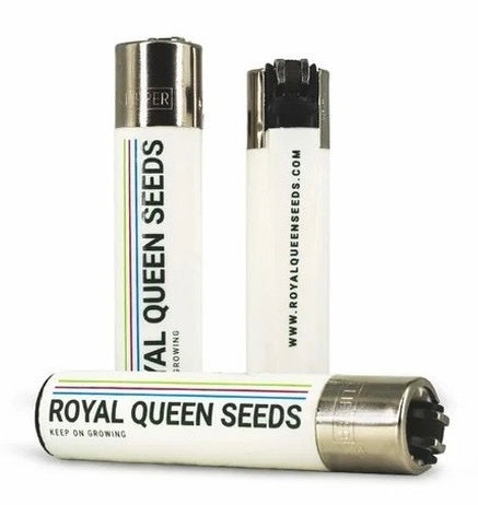 CLIPPER ROYAL QUEEN SEED
